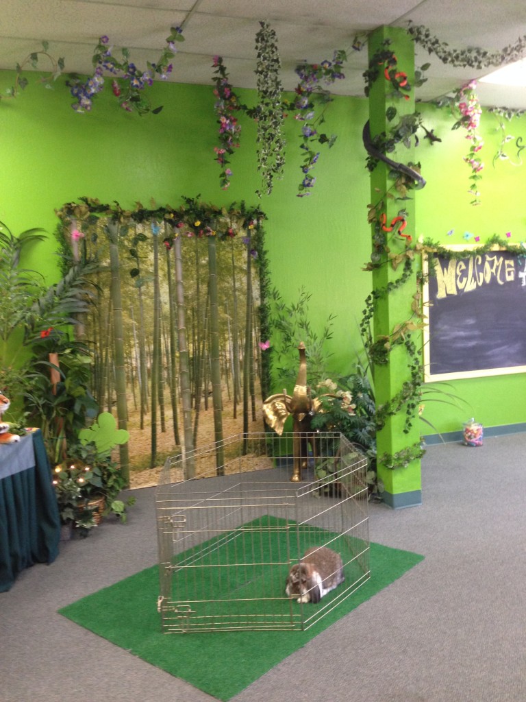 The Jungle Room is Open! Nature's Critters